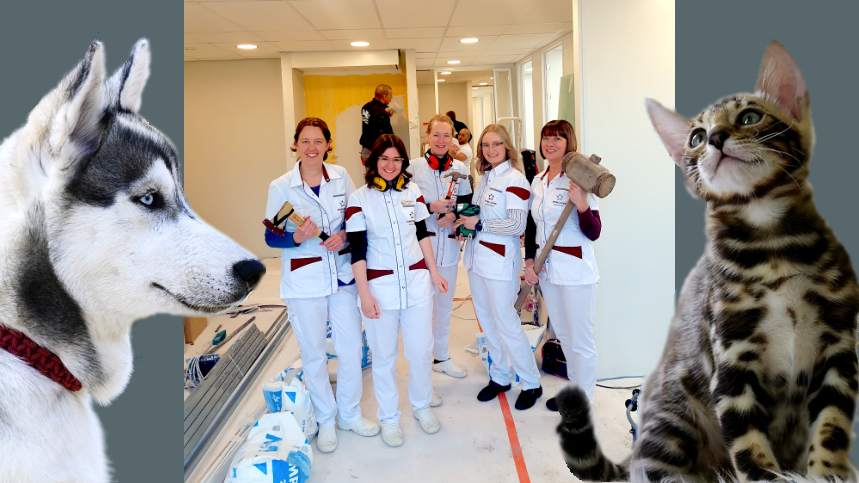 Nieuwe locatie Sterkliniek West-Friesland