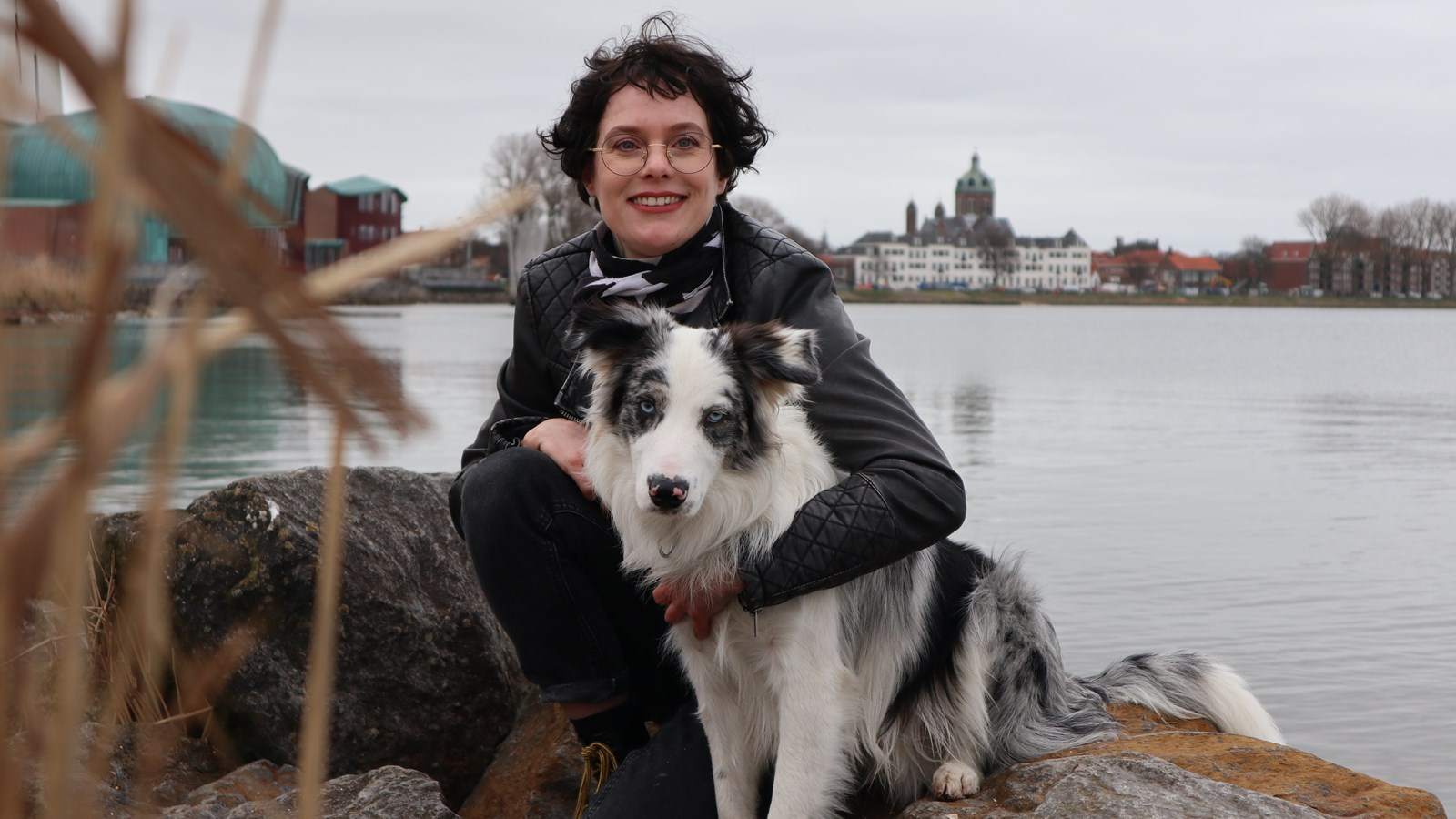 De mooiste hond van Nederland