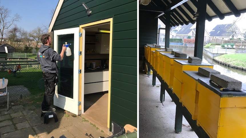 Primeur: eerste bijeneducatiecentrum van Nederland in Hoorn