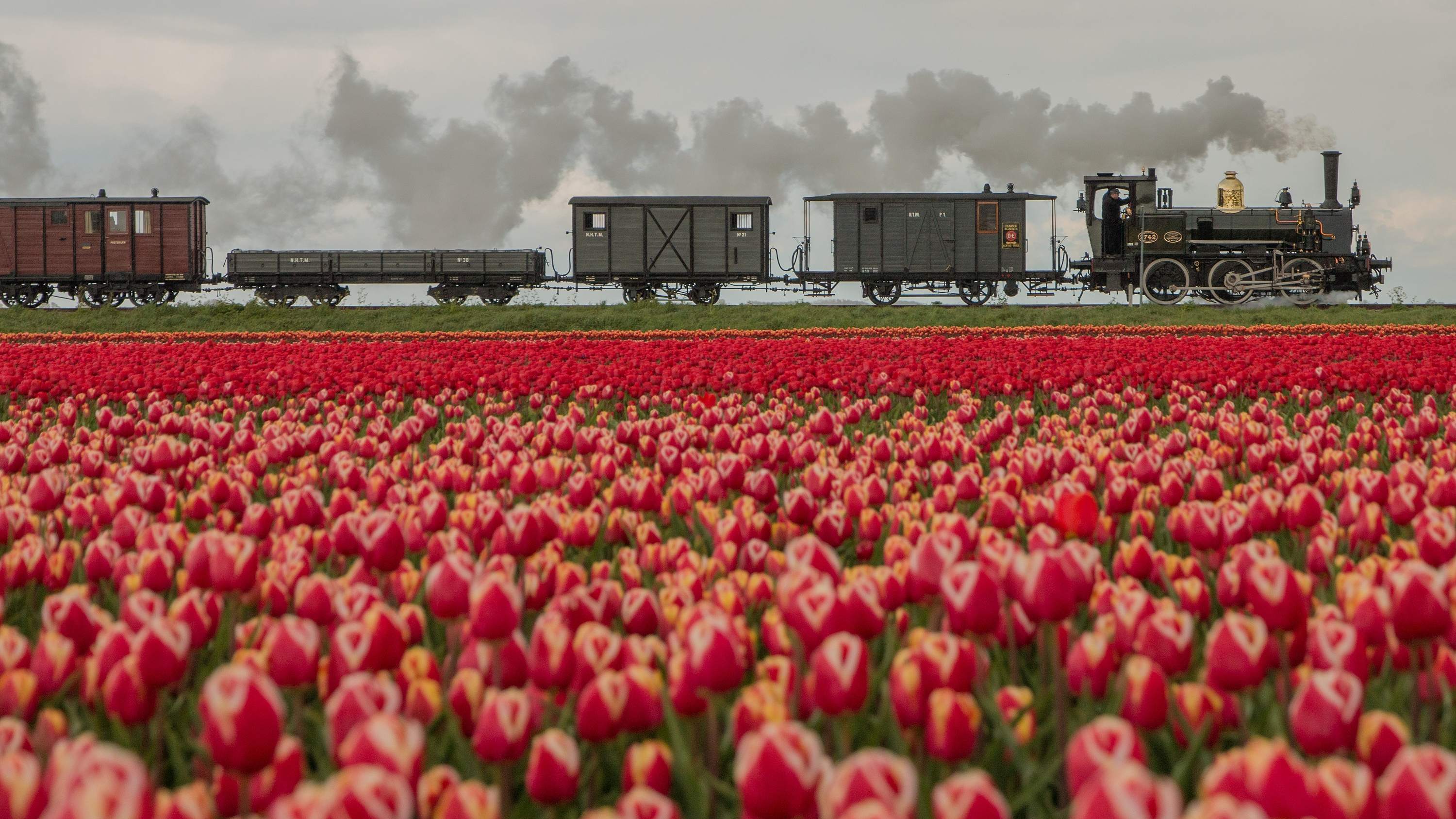 Tijdreizen met Tulpengarantie