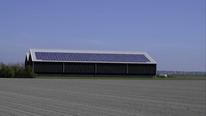 Zonnepanelen op boerendaken