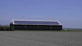 Zonnepanelen op boerendaken