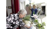 Extra Huishoudelijke hulp in Westfriesland