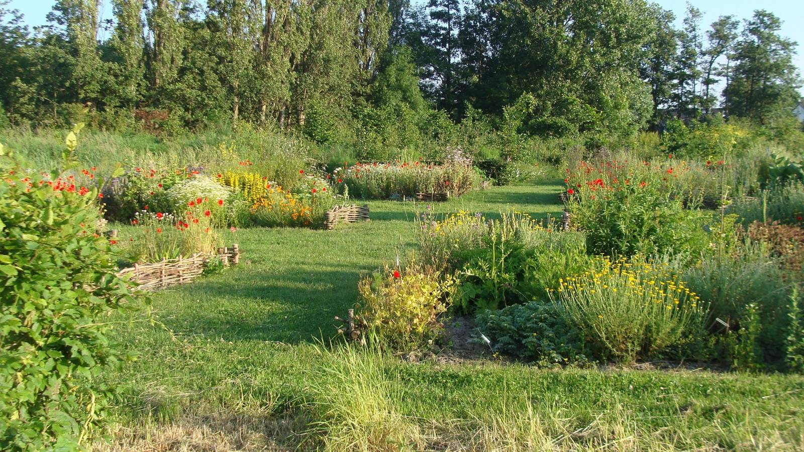 Geheimen van de Kloostertuin
