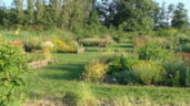 kloostertuin (1)