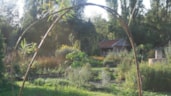 kloostertuin