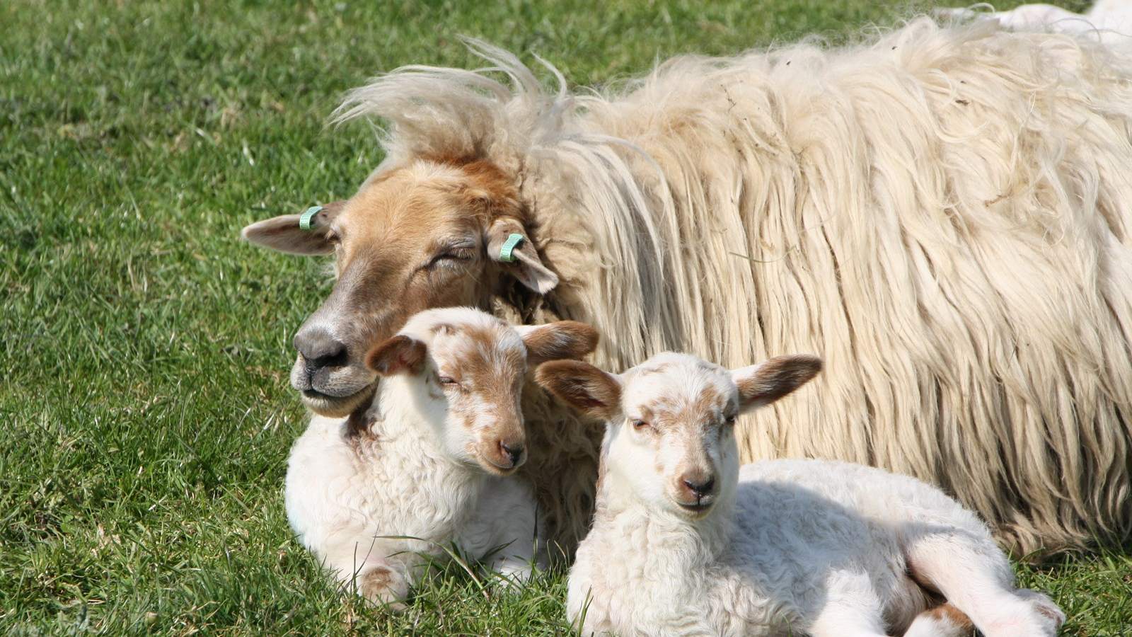 Vier de lente bij MAK Blokweer