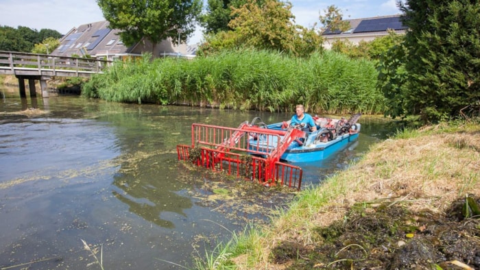 droogte maaien