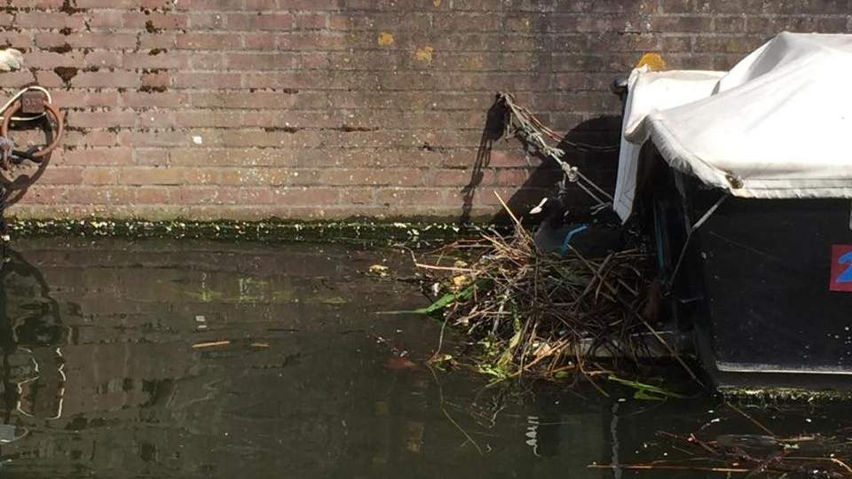 Schoonmaakteam 'Zero waste' actief in Hoorn