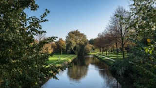 Groenvisie