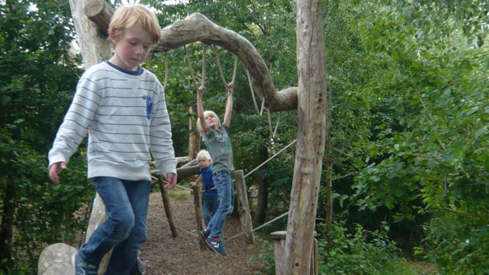 Speeltuinsurvival
