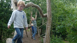 Speeltuinsurvival