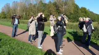Groenkijkers sept 2019