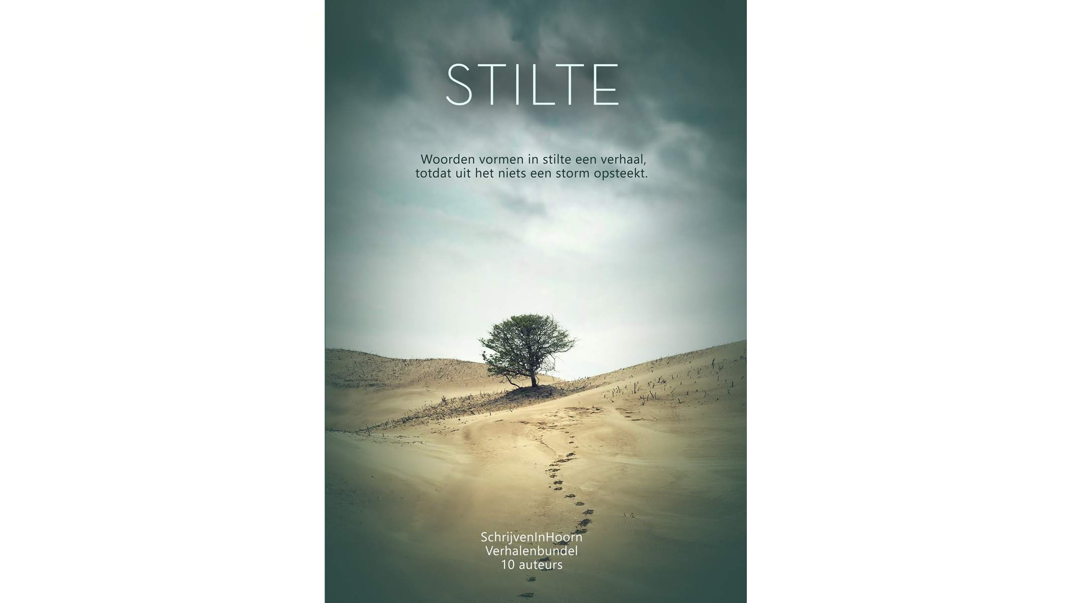 Stilte versus storm in de bibliotheek