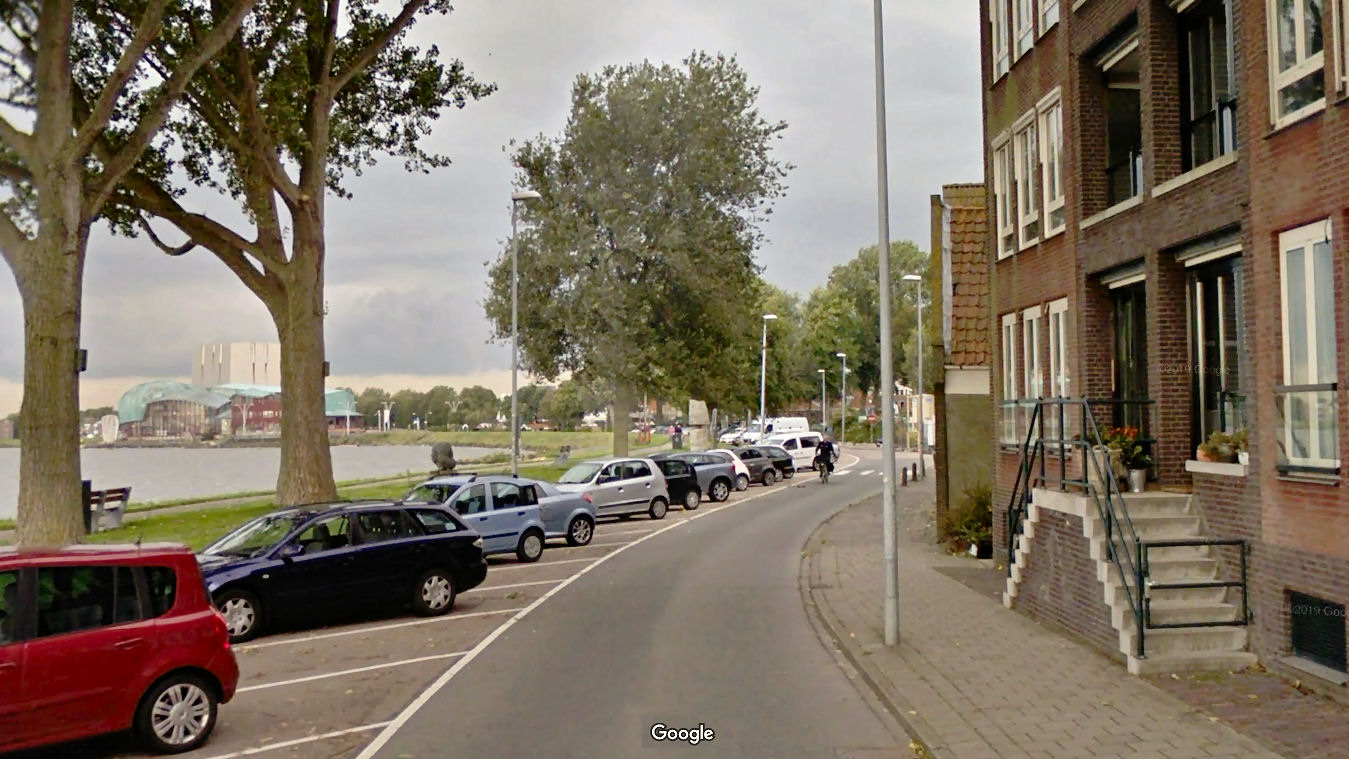 Wel of niet kappen van Bomen op de Westerdijk?