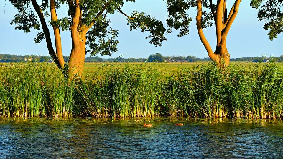 Oever subjectiviteit