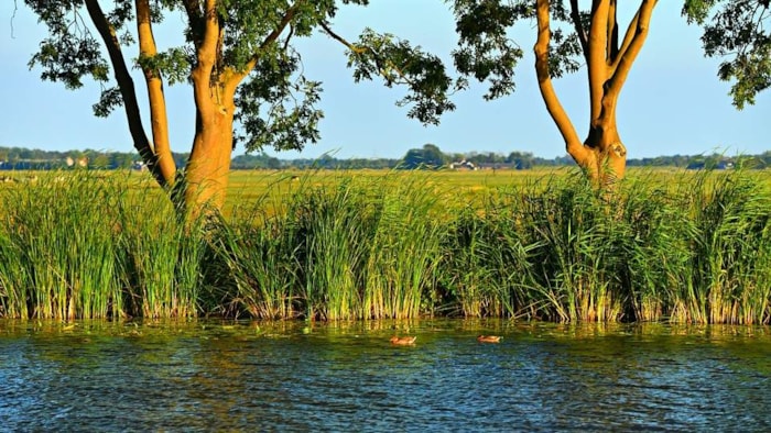 Oever subjectiviteit