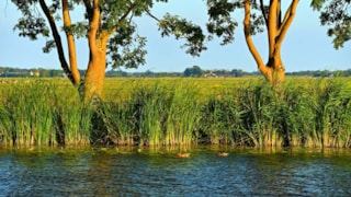 Oever subjectiviteit