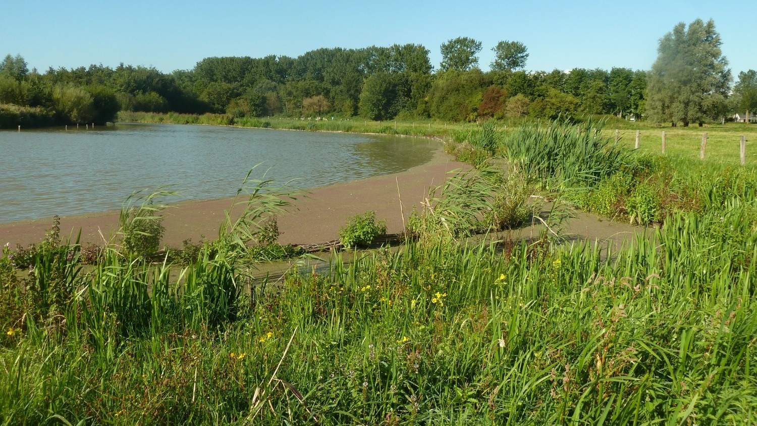Op poldersafari door de Suyderbraeck