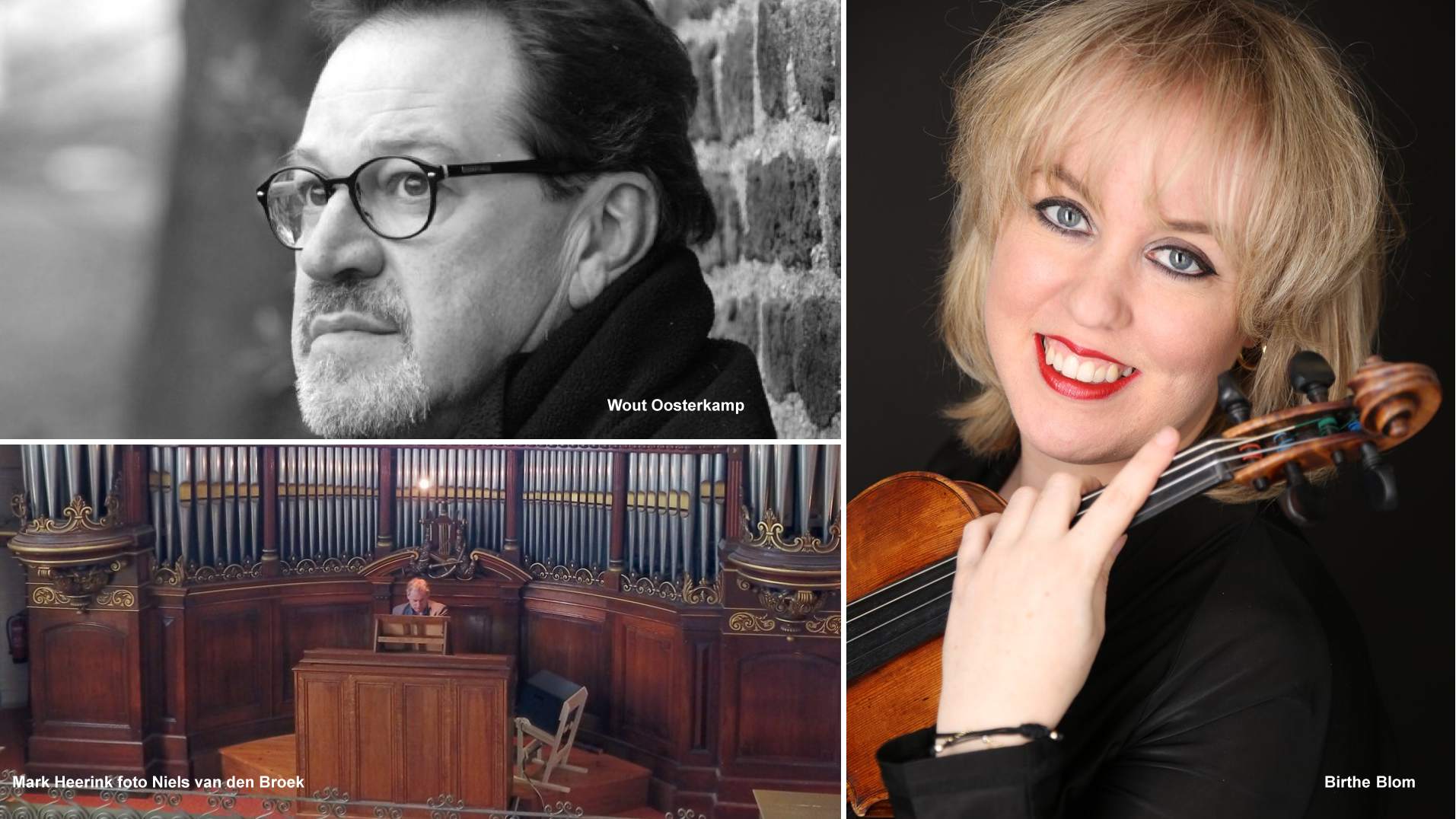 Zomeravondconcert met drie Hoornse musici in Koepelkerk