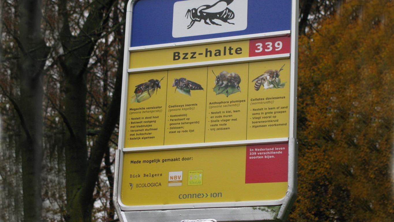 VVD Hoorn pleit voor bzz-haltes