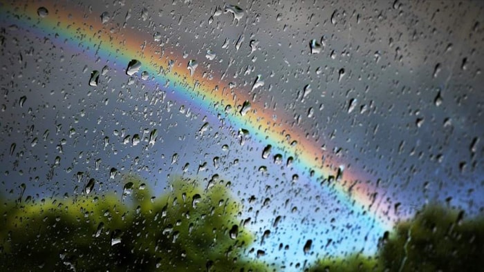 Regenboog