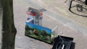 Vissen aangetroffen