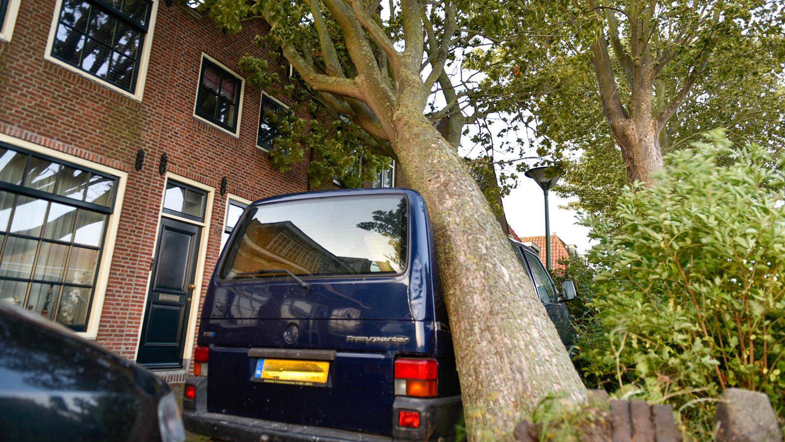 Harde wind zorgde voor overlast en schade