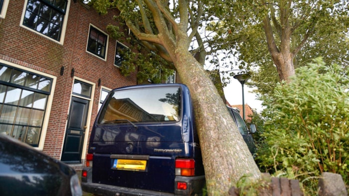Achter op Het Zand boom op bedrijfsbus1