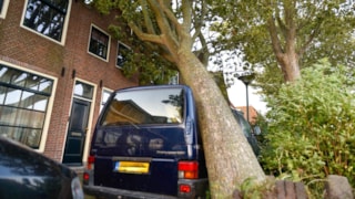 Achter op Het Zand boom op bedrijfsbus1