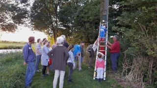 Vleermuiskast