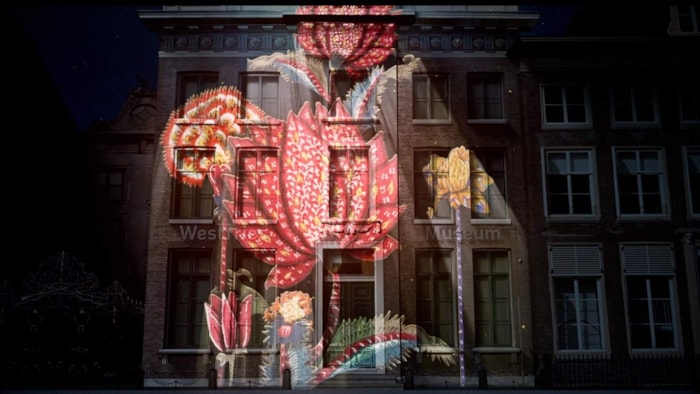 WFM Flowerfestival lichtshow