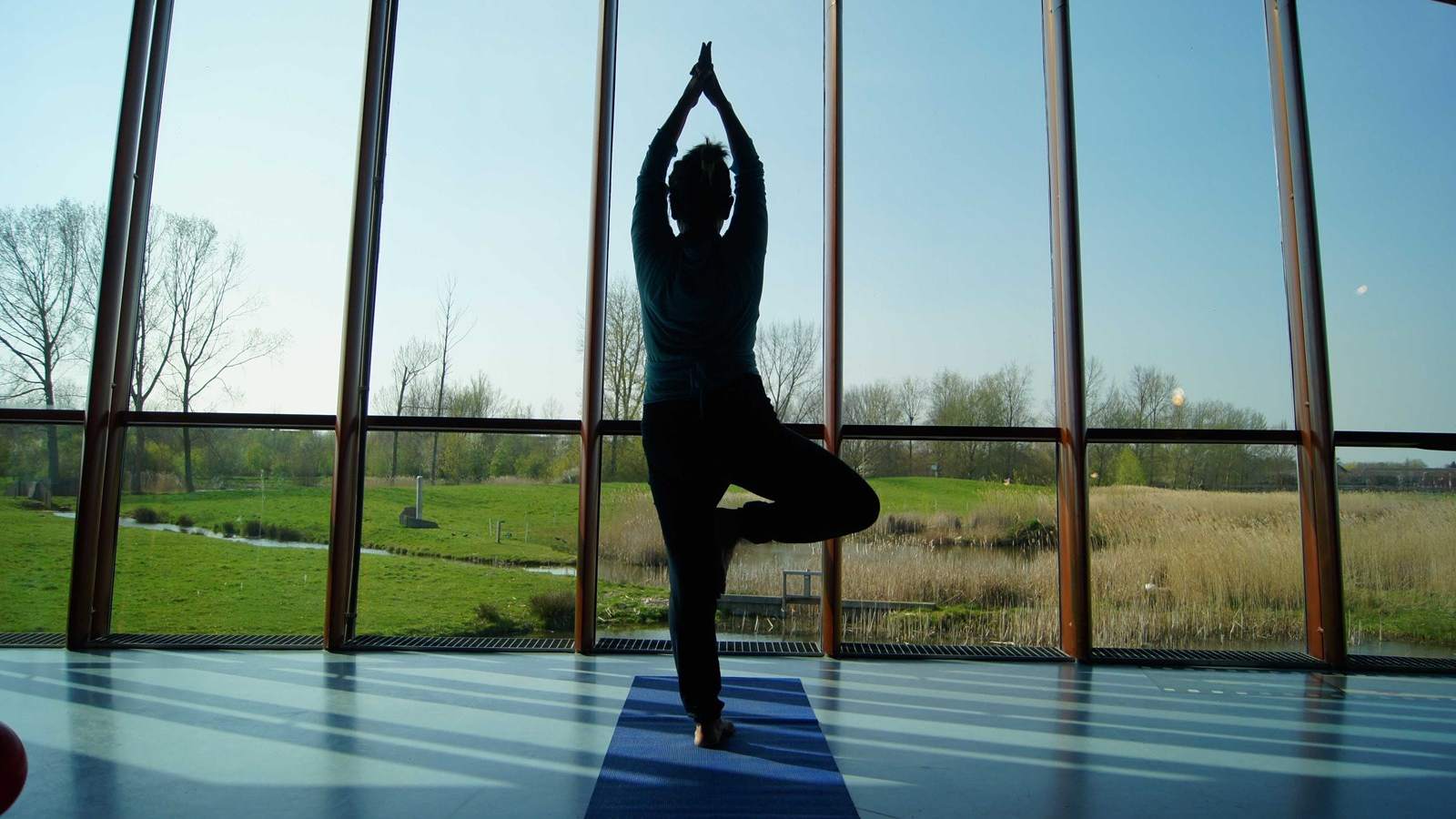 Groei voor Bamboeyoga in de Molshoop