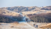 Egmond Wandelmarathon duinen 2jpg