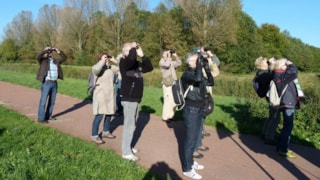 Groenkijkers september 2019