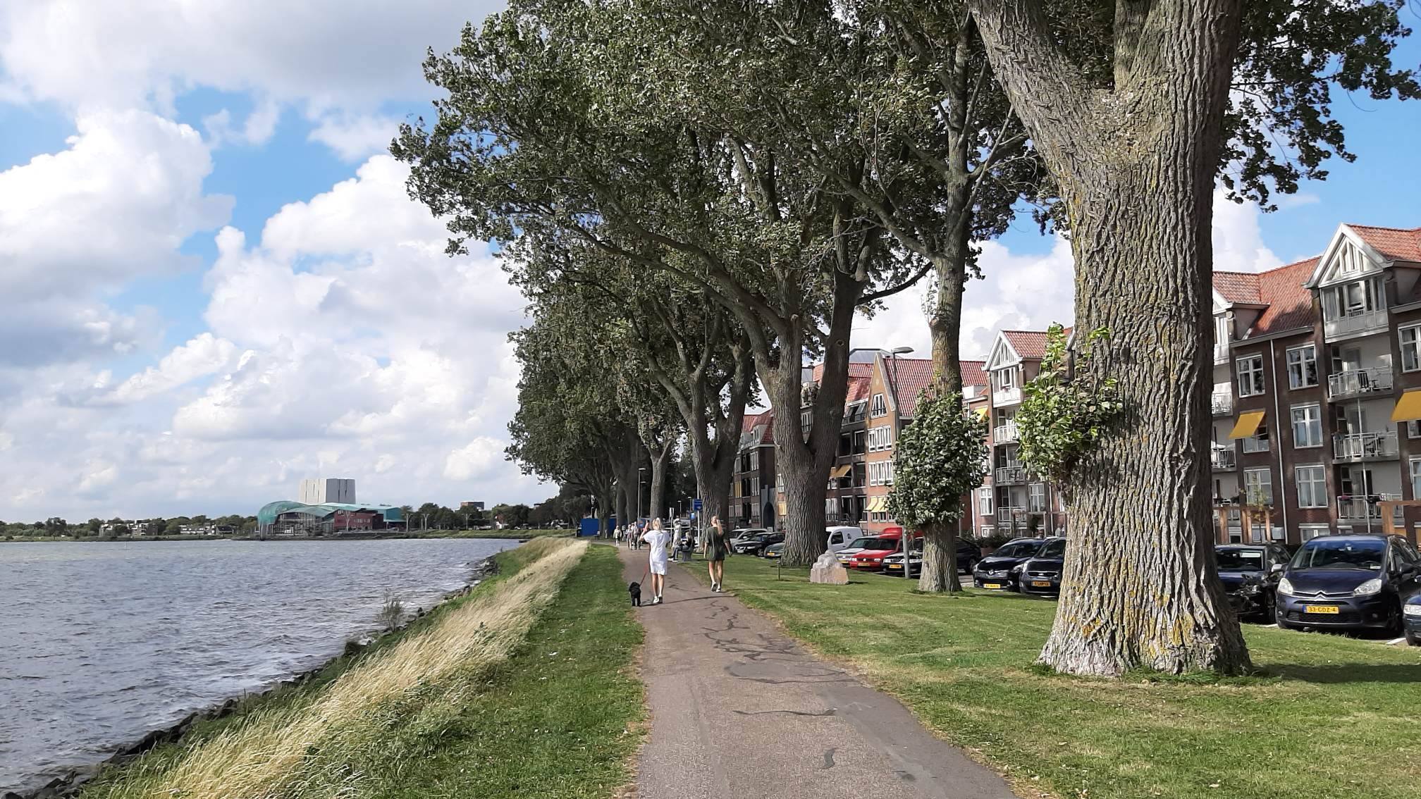 Kappen of kandelaberen aan de Westerdijk