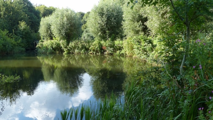 Streekbos 1