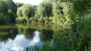 Streekbos 1