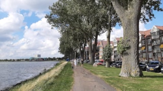 Westerdijk met beeldbepalende populieren