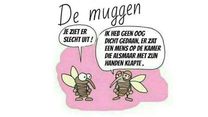 De muggen