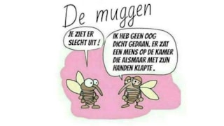 De muggen