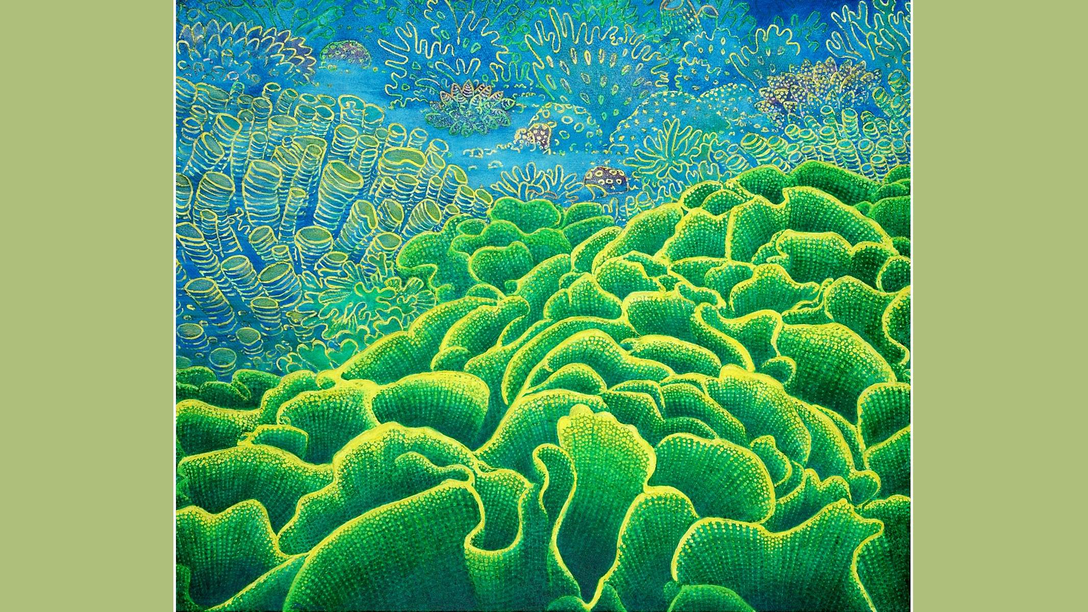 Expositie Paul Stap in Dijklander Ziekenhuis Hoorn