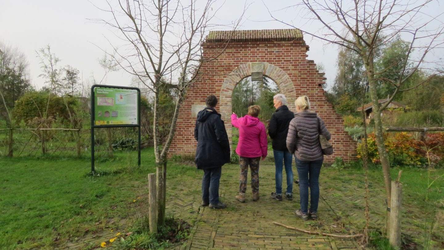 Gezond Natuur Wandelen