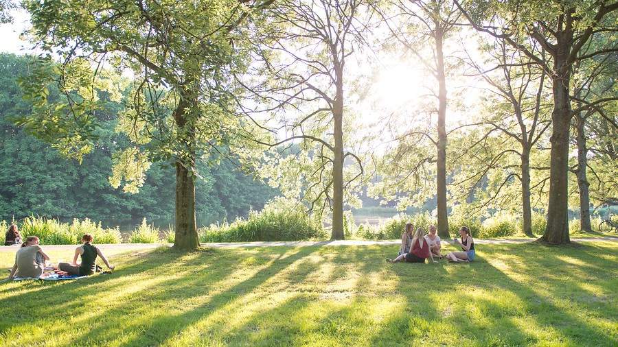 Bomen als onderdeel én ondersteuner biodiversiteit