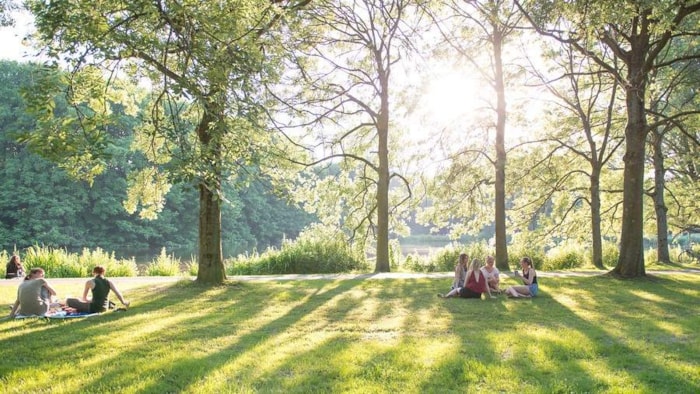 Bomen van betekenis