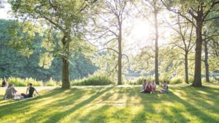 Bomen van betekenis