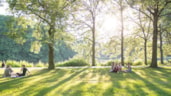 Bomen van betekenis