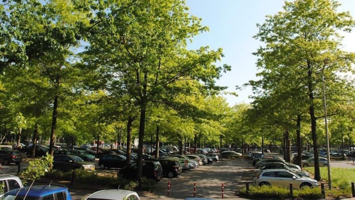 Bomen van betekenis2