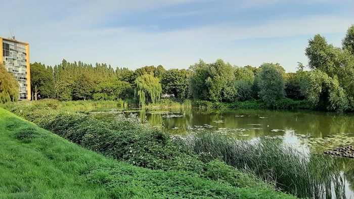 Binnenwater Binnenluiendijk 2