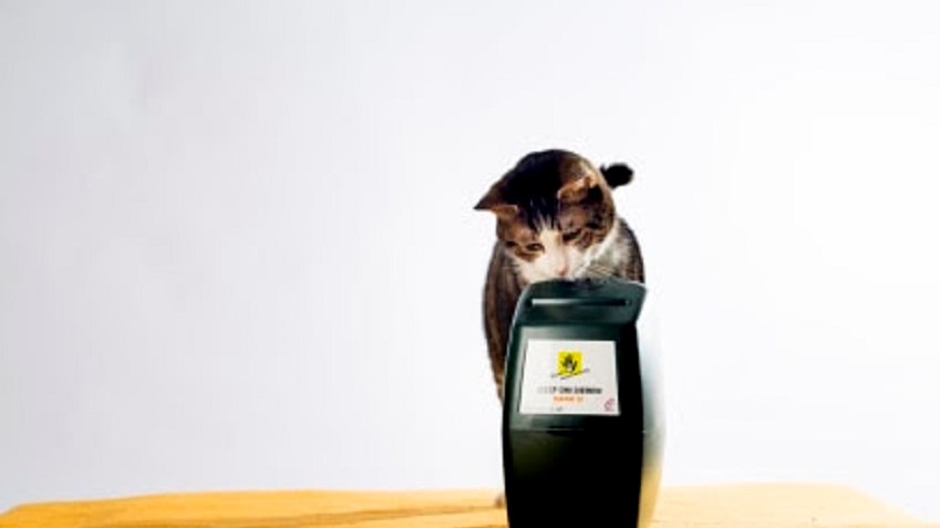 Collecteweek Dierenbescherming van start